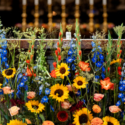 Fiacriusmesse 2025 / Erzdiözese Wien/Schönlaub, Stephan Schönlaub