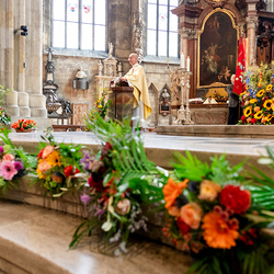 Fiacriusmesse 2025 / Erzdiözese Wien/Schönlaub, Stephan Schönlaub
