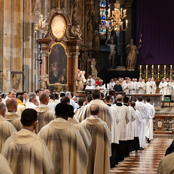 Chrisammesse 2025 / Erzdiözese Wien/ Schönlaub, Stephan Schönlaub