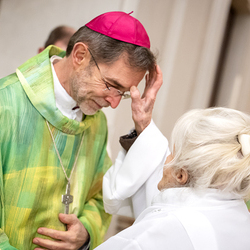 Erzdiözese Wien/Schönlaub