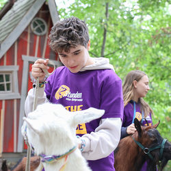 Dies & Das im Therapiehof Regenbogental