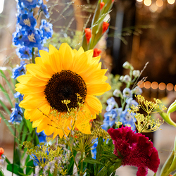 Fiacriusmesse 2025 / Erzdiözese Wien/Schönlaub, Stephan Schönlaub