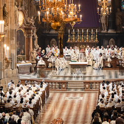 Chrisammesse 2025 / Erzdiözese Wien/ Schönlaub, Stephan Schönlaub
